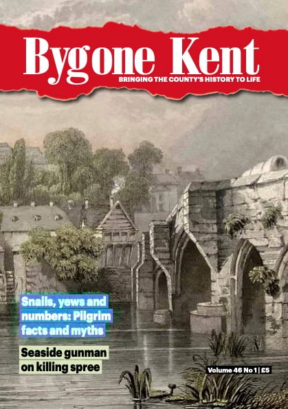 Jan/Feb 2025 (Vol 46/1) image